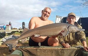 Siberian Sturgeon