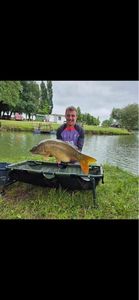 Common Carp
