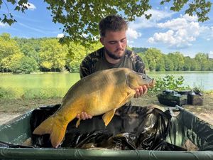 Leather Carp