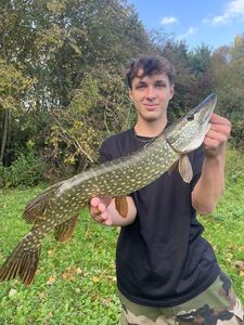 Northern Pike