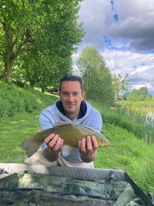 Tench
