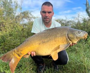 Mirror Carp