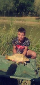 Common Carp