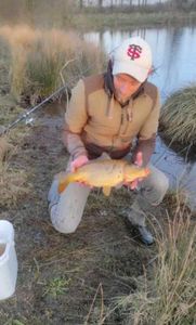 Common Carp