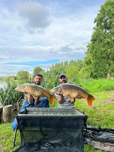 Mirror Carp