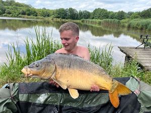 Mirror Carp