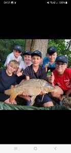 Mirror Carp