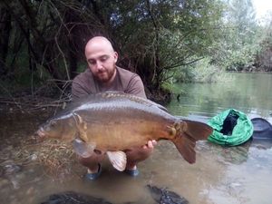 Mirror Carp