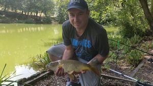 Common Carp