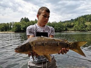 Mirror Carp