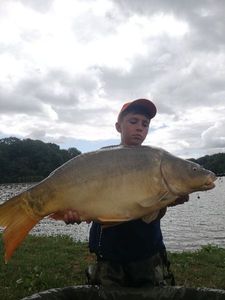 Mirror Carp