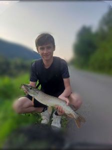 Northern Pike