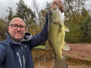 Largemouth Bass