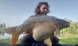 Mirror Carp