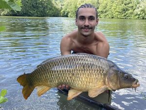 Common Carp