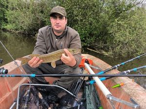 Northern Pike