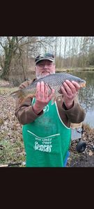 Common Carp