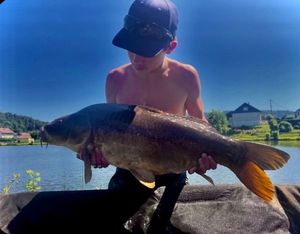 Mirror Carp
