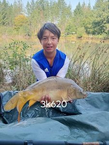 Mirror Carp
