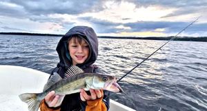 Zander