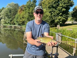 Tench