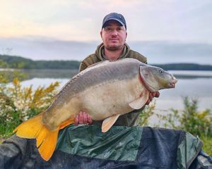 Mirror Carp