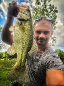 Largemouth Bass