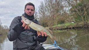 Northern Pike