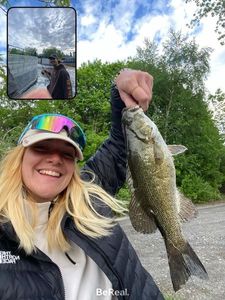 Smallmouth Bass