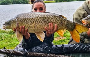 Common Carp