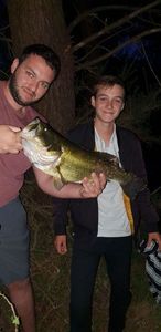 Largemouth Bass