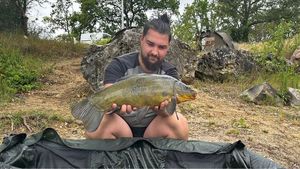 Tench