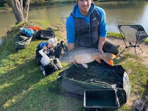 Mirror Carp