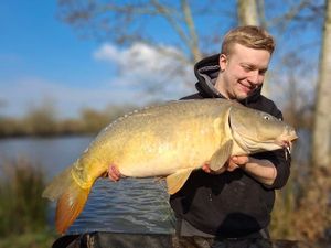Mirror Carp