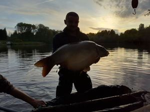 Mirror Carp