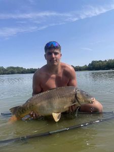Mirror Carp