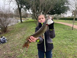 Northern Pike