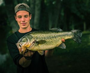 Largemouth Bass