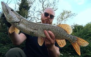 Northern Pike