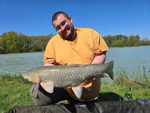 Grass Carp