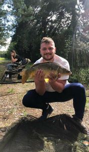 Mirror Carp