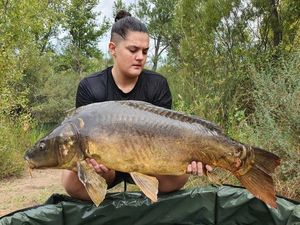 Mirror Carp