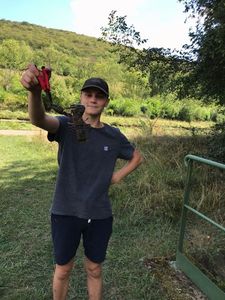 Spinycheek Crayfish