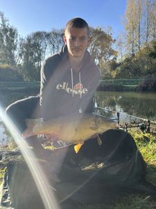 Mirror Carp