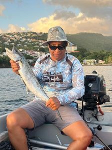 Cero Mackerel