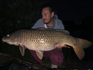 Common Carp