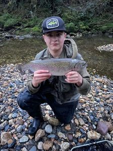 Rainbow Trout