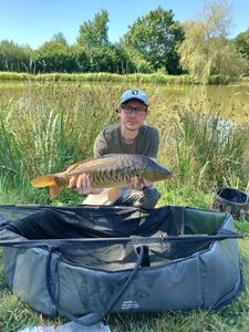 Mirror Carp