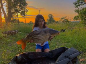 Common Carp