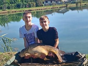 Common Carp